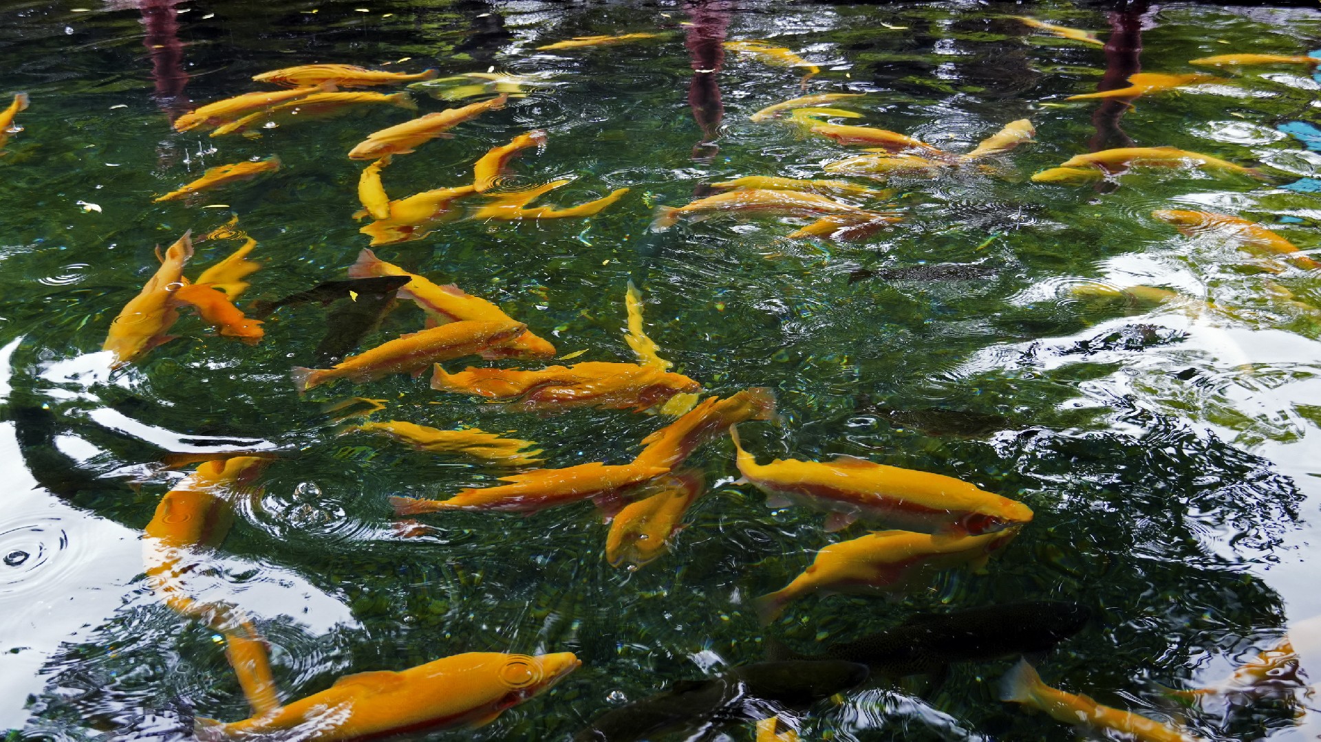 玉水寨景區隨拍02